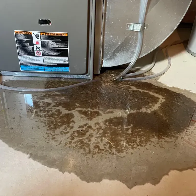 Appliance Leak Cleanup in Highview, KY